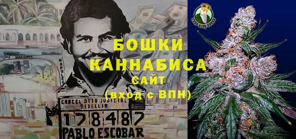 ГАЛЛЮЦИНОГЕННЫЕ ГРИБЫ Елизово