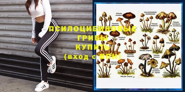 ГАЛЛЮЦИНОГЕННЫЕ ГРИБЫ Елизово