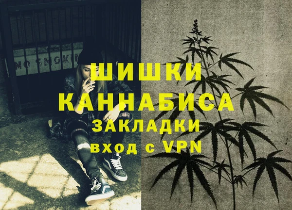 ГАЛЛЮЦИНОГЕННЫЕ ГРИБЫ Елизово