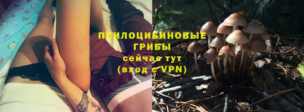 ГАЛЛЮЦИНОГЕННЫЕ ГРИБЫ Елизово
