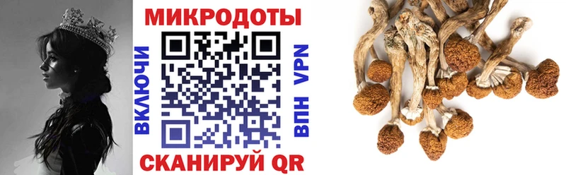 Псилоцибиновые грибы Magic Shrooms  Улан-Удэ 